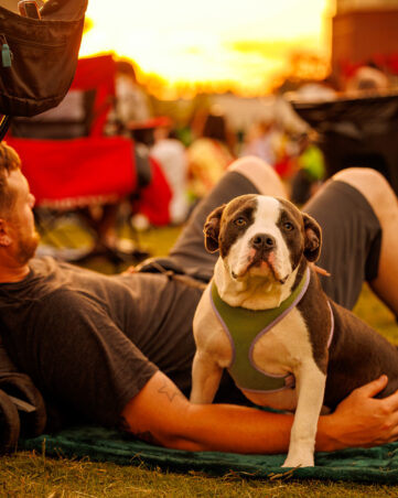 DVPhotoVideo_2025_0830_195141-3672 (2)