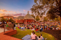 DVPhotoVideo_2025_0830_195821-3730 (2)