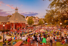 DVPhotoVideo_2025_0830_195908-3762 (2)