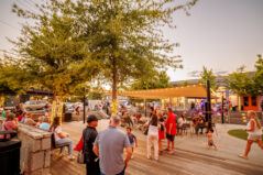 DVPhotoVideo_2025_0830_200854-3908 (2)