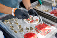 DVPhotoVideo_2025_0913_131732-7234