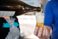 DVPhotoVideo_2025_0913_131934-7260