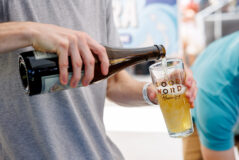 DVPhotoVideo_2025_0913_132356-7316