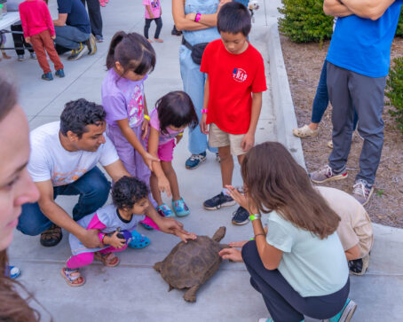 DVPhotoVideo2025_1004_181638-00477