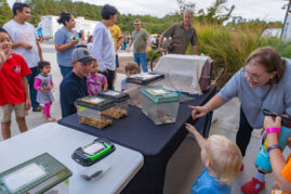 DVPhotoVideo2025_1004_181836-00497