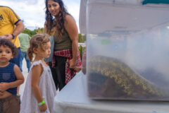 DVPhotoVideo2025_1004_181859-00499