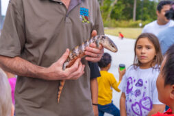 DVPhotoVideo2025_1004_182120-00515