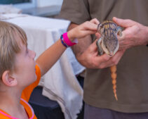 DVPhotoVideo2025_1004_182132-00517