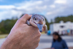 DVPhotoVideo2025_1004_182205-00523