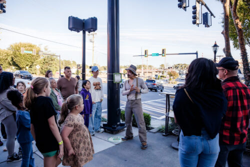 DVPhotoVideo2025_1011_183039-