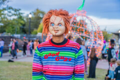 DVPhotoVideo2025_1024_184136-02559