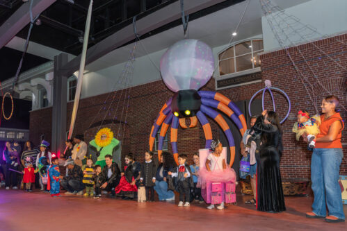 DVPhotoVideo2025_1024_192548-02749