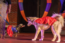 DVPhotoVideo2025_1024_203212-08110