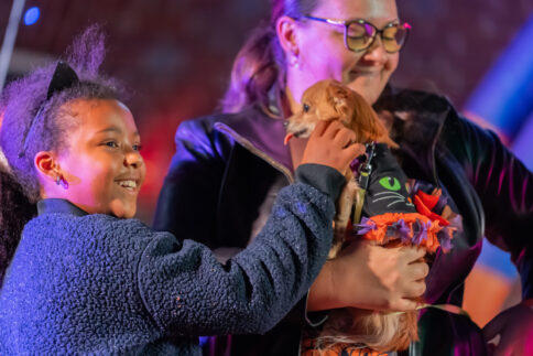 DVPhotoVideo2025_1024_203301-08120