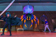 DVPhotoVideo2025_1024_203303-03246