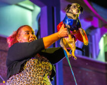 DVPhotoVideo2025_1024_203336-08132