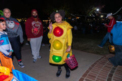 DVPhotoVideo2025_1024_203733-03256