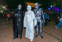 DVPhotoVideo2025_1024_203759-03257