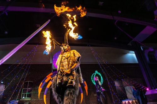 DVPhotoVideo2025_1024_213542-03852